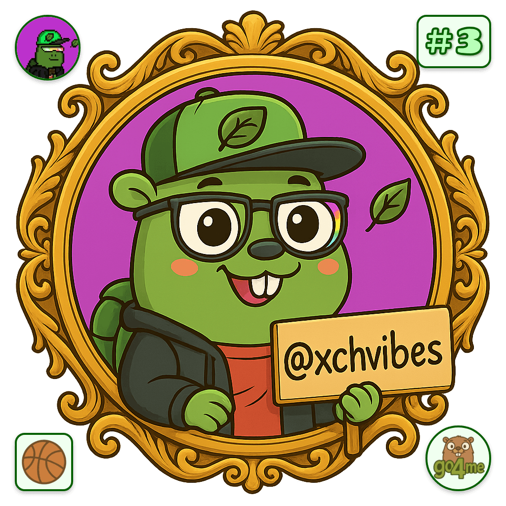 xchvibes avatar